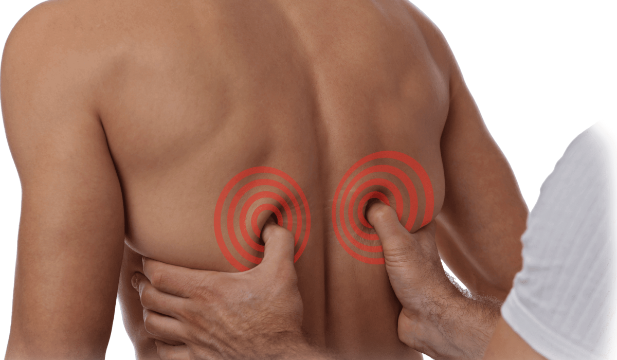 ostéopathe spécialisé dans les douleurs musculo-squelettiques à puyricard, offrant des soins personnalisés pour soulager vos tensions et restaurer votre bien-être.